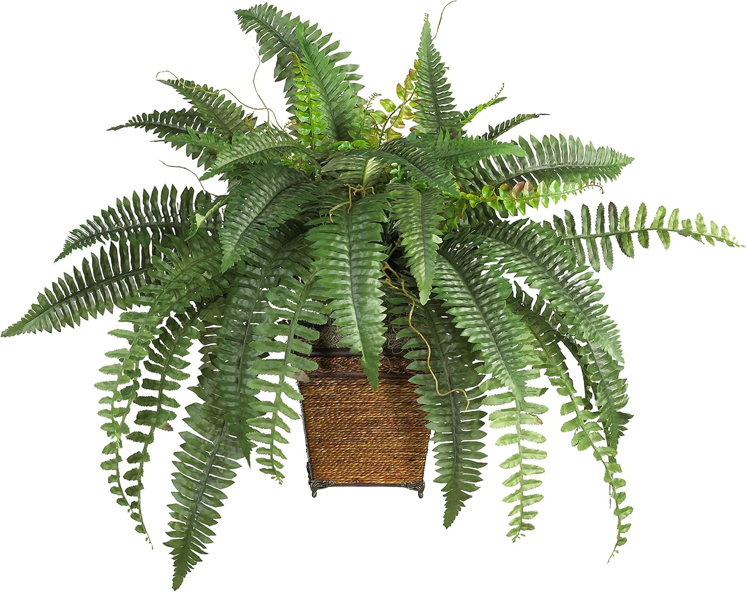 Top Amazon Deals You Can’t Miss